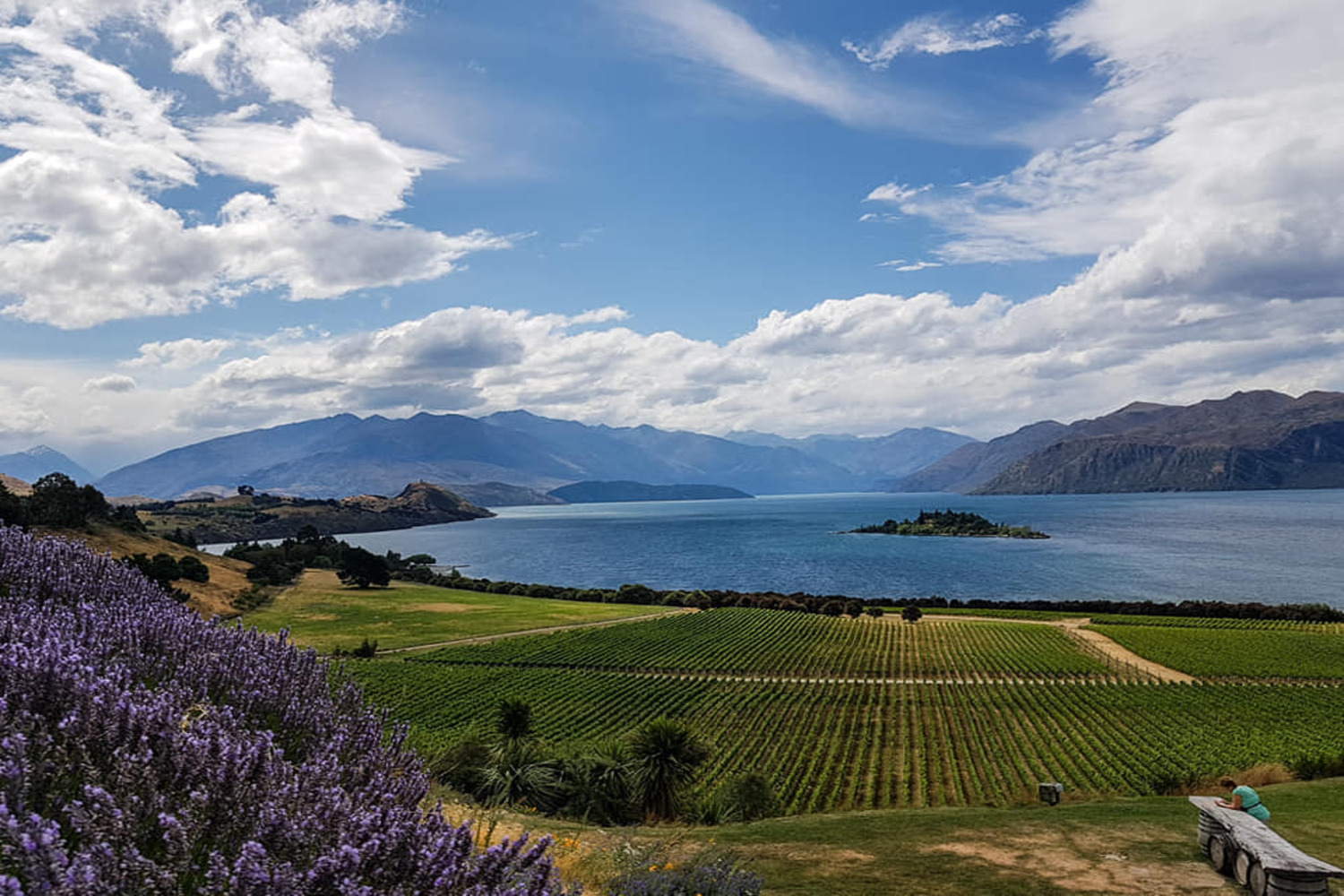 viaggi su misura Nuova Zelanda